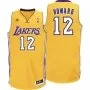 NBA Adidas Mens Los Angeles Lakers Swingman Revolution 30 Dwight Howard Jersey Vest in Gold